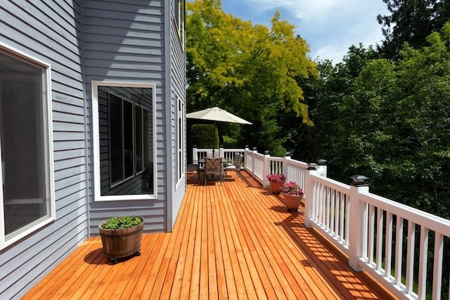 Fence staining ideas_that 1 painter